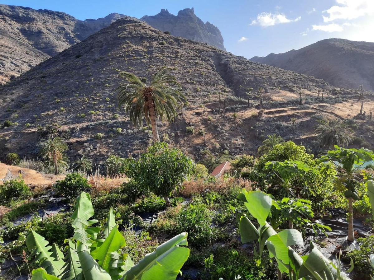 Casa Rural La Vega Alojera Buitenkant foto