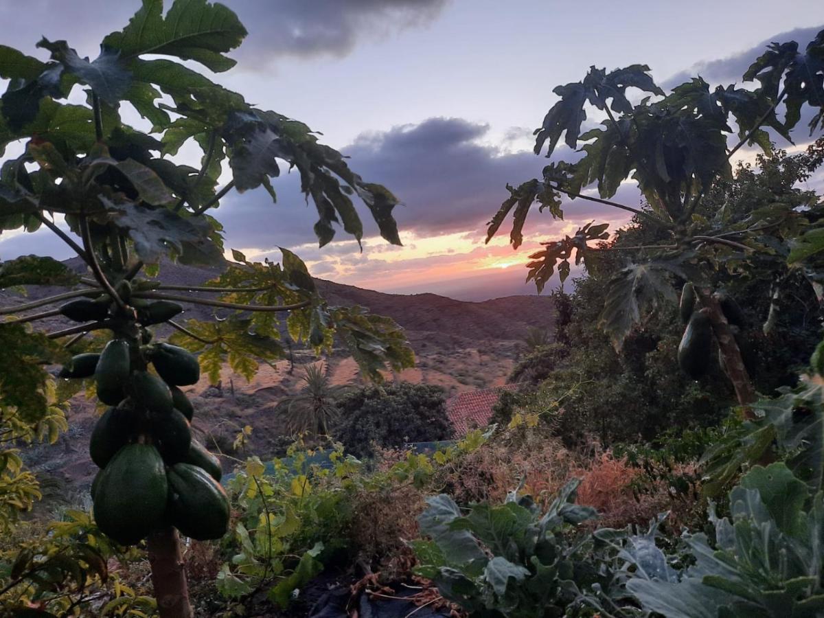 Casa Rural La Vega Alojera Buitenkant foto